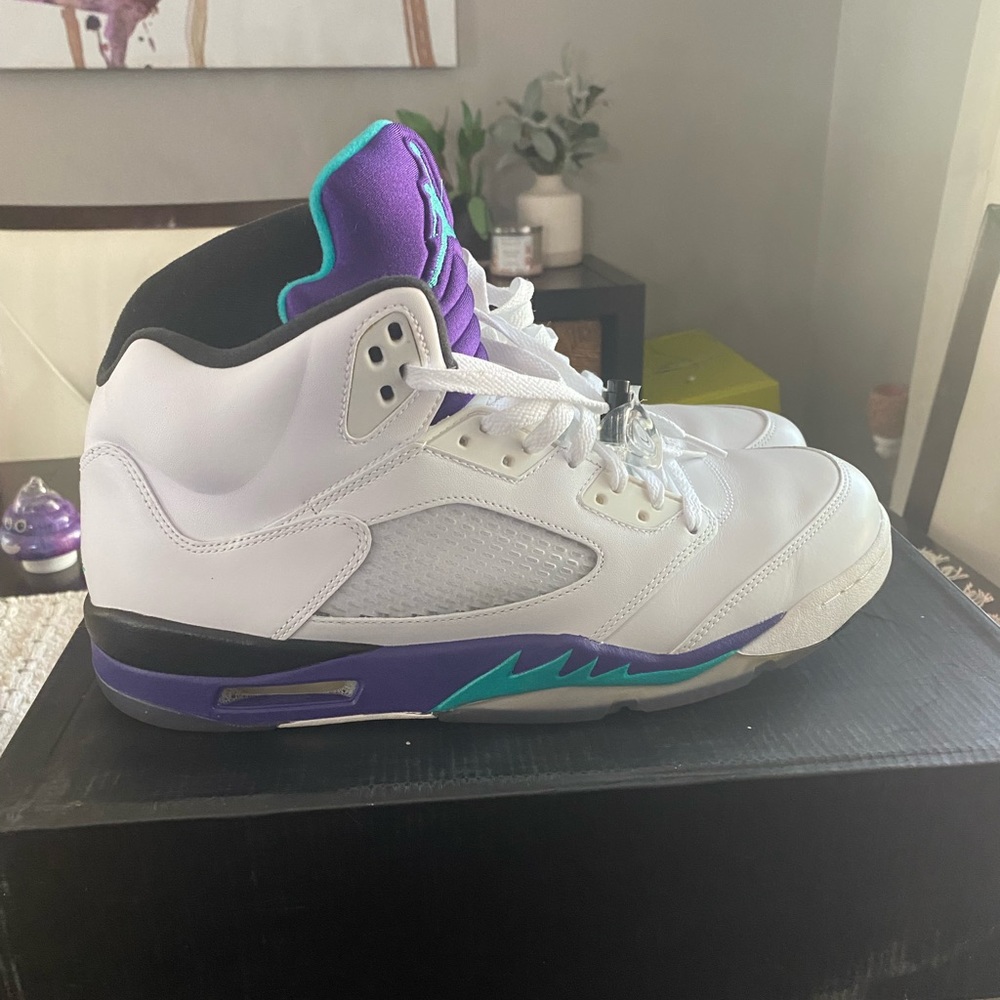 Air Jordan 5 Grape (2013) Size 13